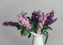 Preparing for a Single Retirement? 4 Tips for Women