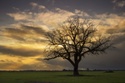 Planning Ahead: How to Deal with an Unexpected Loss