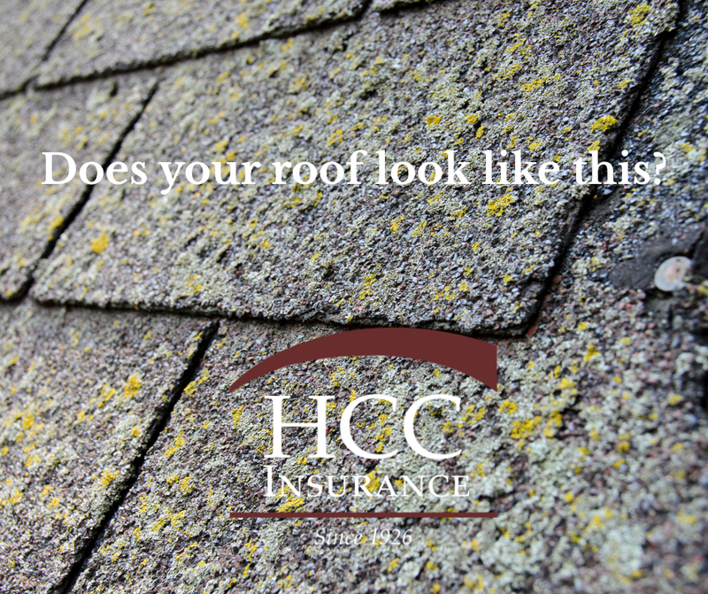 Loss Recommendations After a Home Insurance Inspection: What They Mean (and Why They Matter)