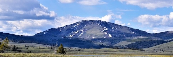 Your Guide to Montana Estate Tax
