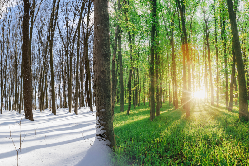 Retirement Is Not a Date. It Is a Transition.