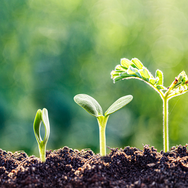 Spring Growth Brings New Risks: Is Your Business Insurance Ready?