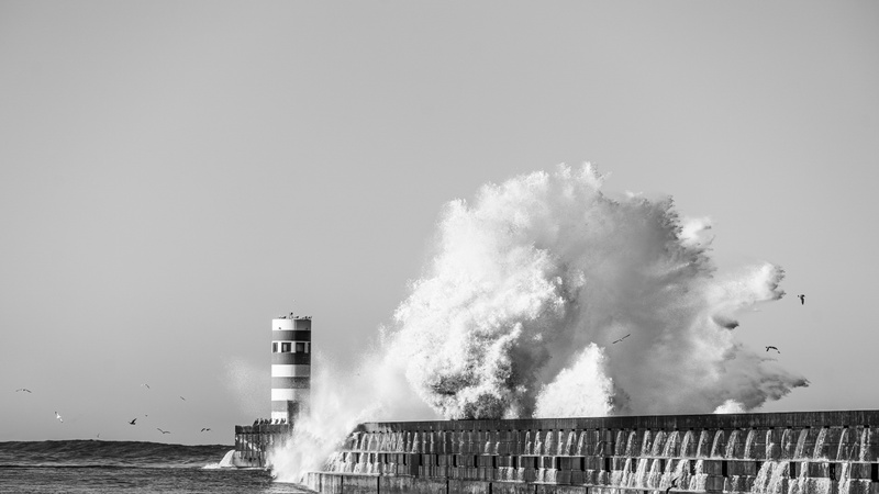 Resilient Markets Amid Economic Crosscurrent