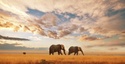 Best Vacations: By Car, By Ship, By Foot, Once in a Lifetime