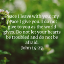 John 14:27