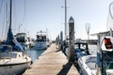 Insurance Options for Boat Owners & Theft Prevention Tips