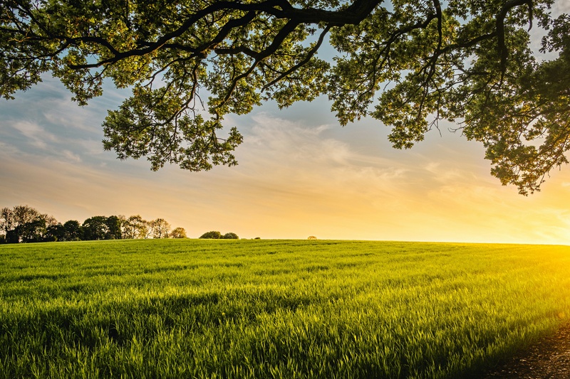 A Fiduciary Framework for Retirement Income: Aligning Strategy With Family Goals