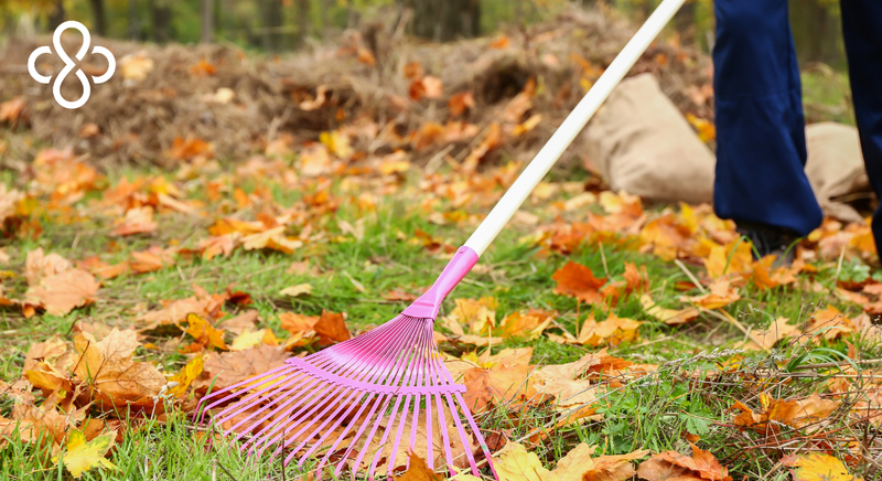 Fall Clean-Up: Shedding Bad Money Habits Before Year-End