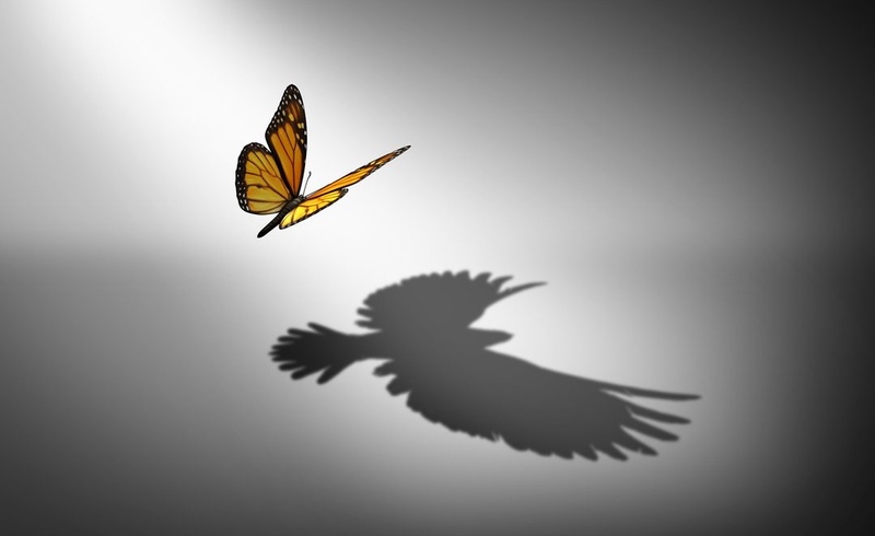 How To Make Small Changes For Big Impacts