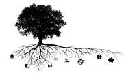 Lignum Lessons - Practice Patience When Growing Your Investments