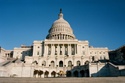 How elections and the presidential cycle can influence investment returns.