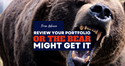 Review Your Portfolio or the Bear Might Get It