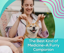 The Best Kind of Medicine–A Furry Companion