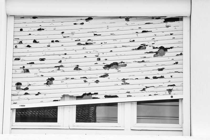 Hail No! Navigating Roof Damage and Finding Rockford's Finest Fixers