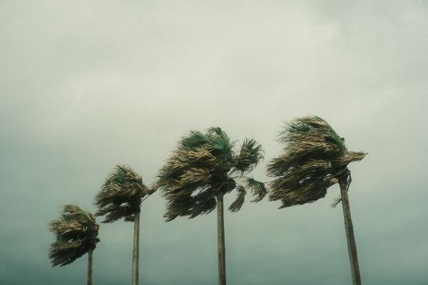 FAQ: What is Wind Mitigation?