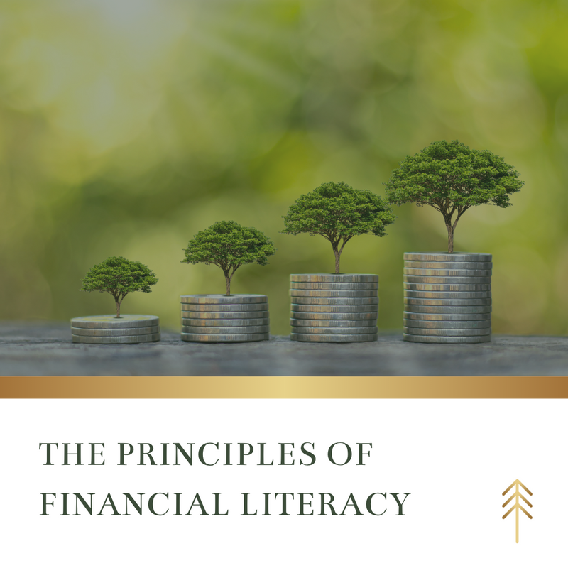The Principles of Financial Literacy
