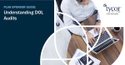 Guide to Understanding DOL Audits