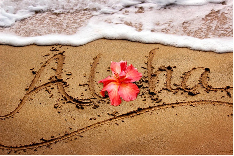 Pastimes, Pets, and Paradise