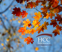 Stay Cozy and Secure: A Homeowner's Guide to Winter Preparedness and Fall Clean-Up