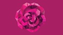 Buying Roses and Buying Investments