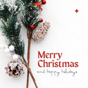 Navigating the Festive Finances: A Guide to Smart Holiday Spending
