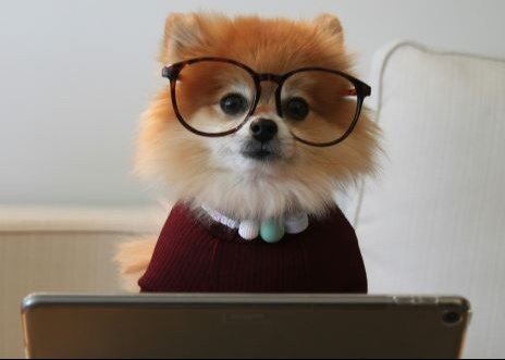 Quarterly Economic Update:  Second Quarter 2025