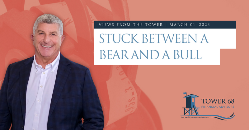Stuck Between A Bear And A Bull