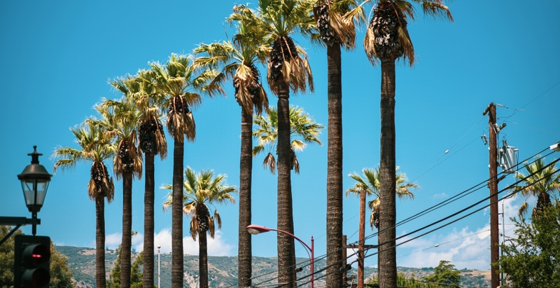 Financial Advisor in San Dimas: Local Expertise for High Earners and Growing Families