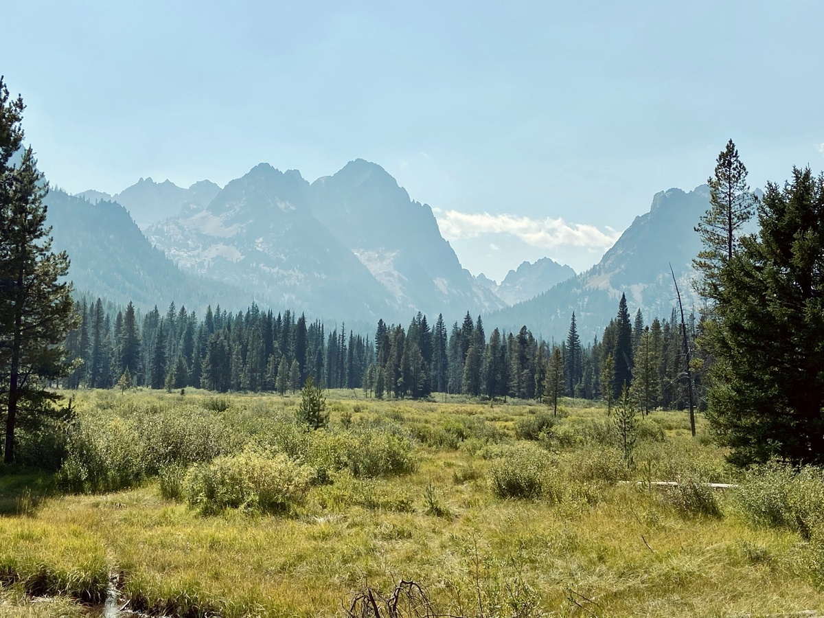 Tax Planning After You Move to a New State