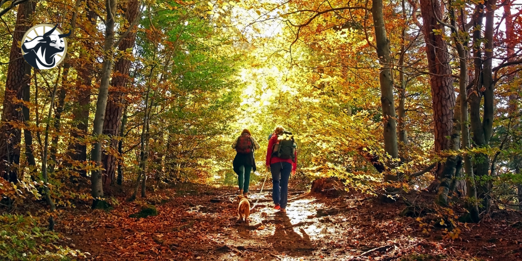 Why Getting Outside Matters: How Hiking Supports Total Mind‑Body Wellness