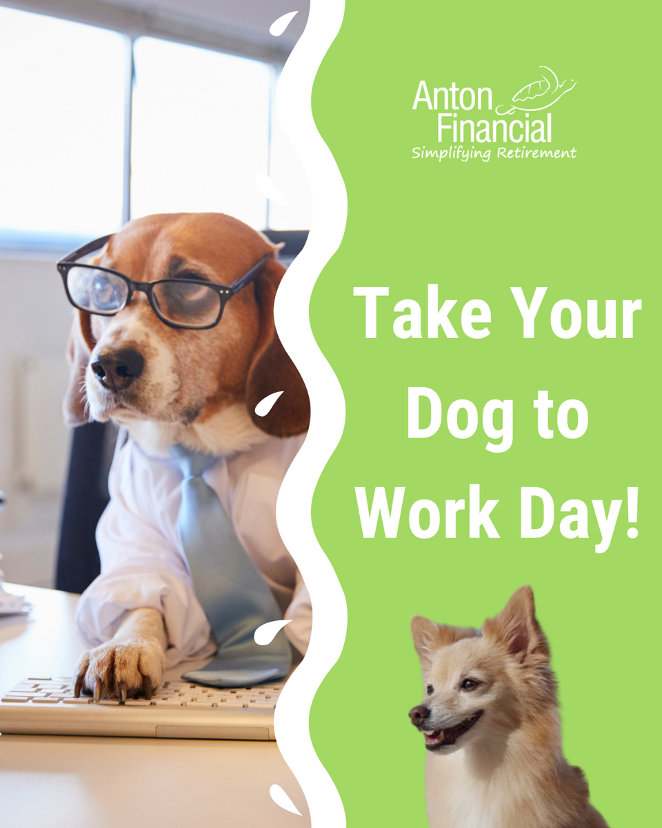 Canine Concerns:  Proper Insurance Coverage