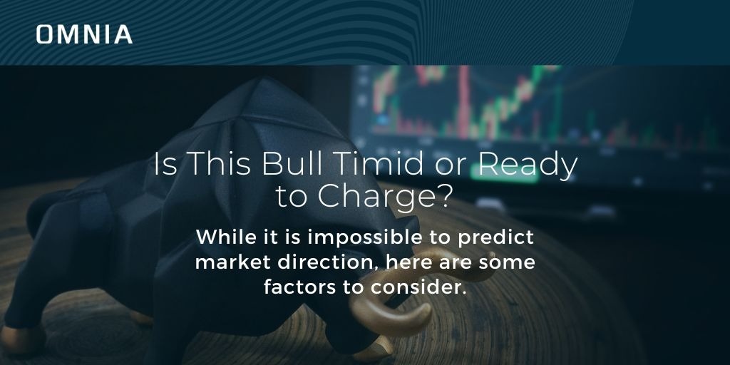 Is This Bull Timid or Ready to Charge?