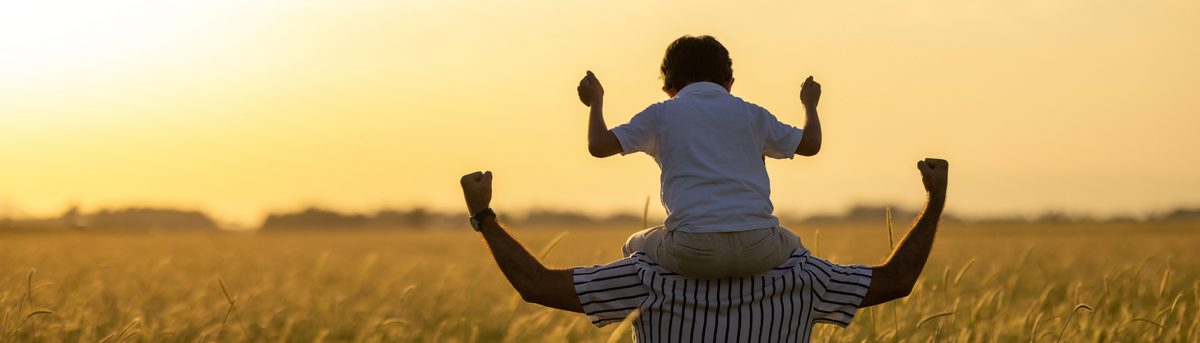 Estate Planning Priorities During and After Divorce