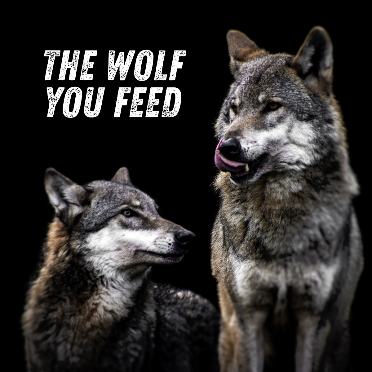 The Wolf You Feed
