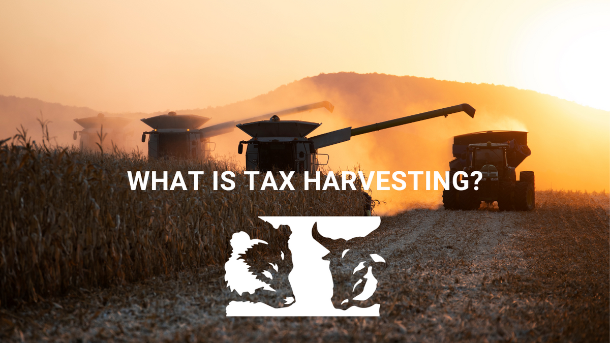 What is Tax Harvesting?