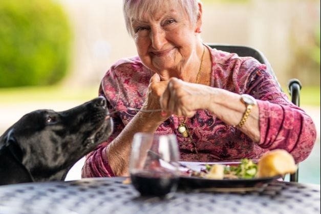 Medicare At 65+