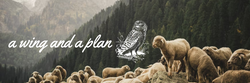 Follow the herd?