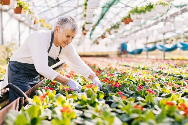 Retirement Redefined: A Growing Trend of 