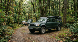 Spring Clean Your Insurance