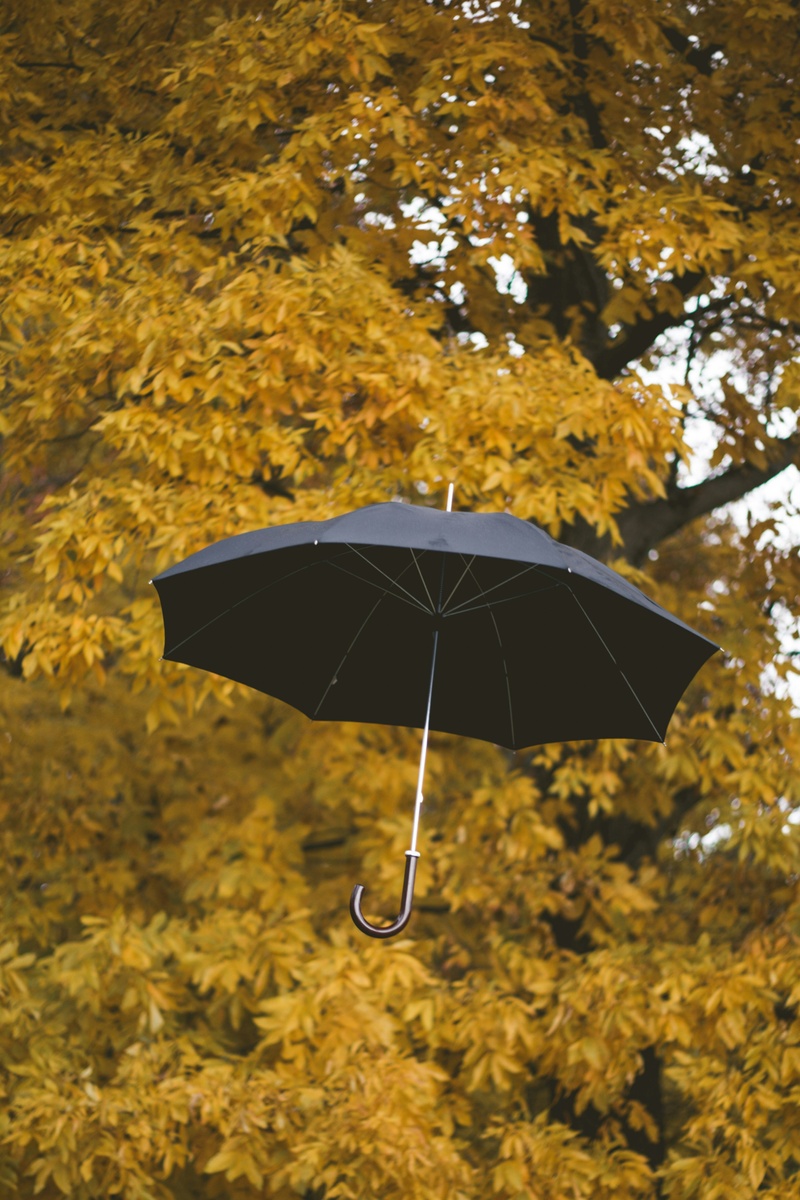 Understanding Umbrella Insurance: Protecting Your Financial Future