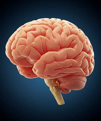 Psychology, How You Show Up