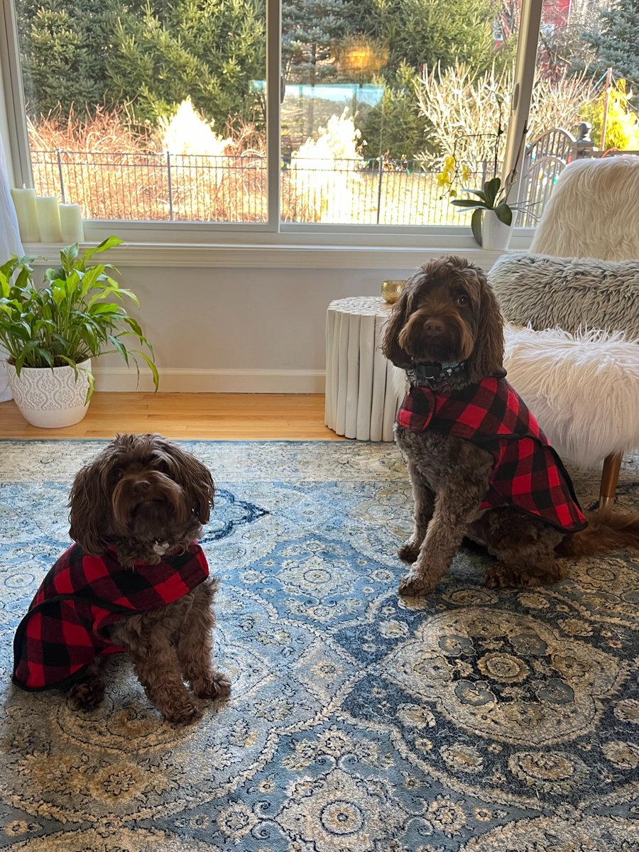 Will Your Retirement Savings Last?