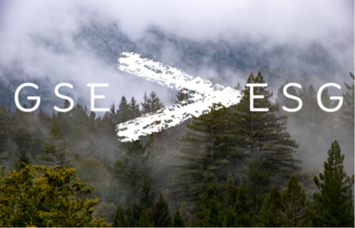 GSE (God, Spirit, Environment) &gt; ESG (Environment, Social, Governance)