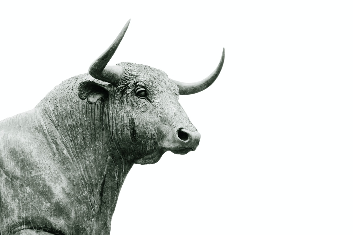 A New Bull Market and the August Doldrums