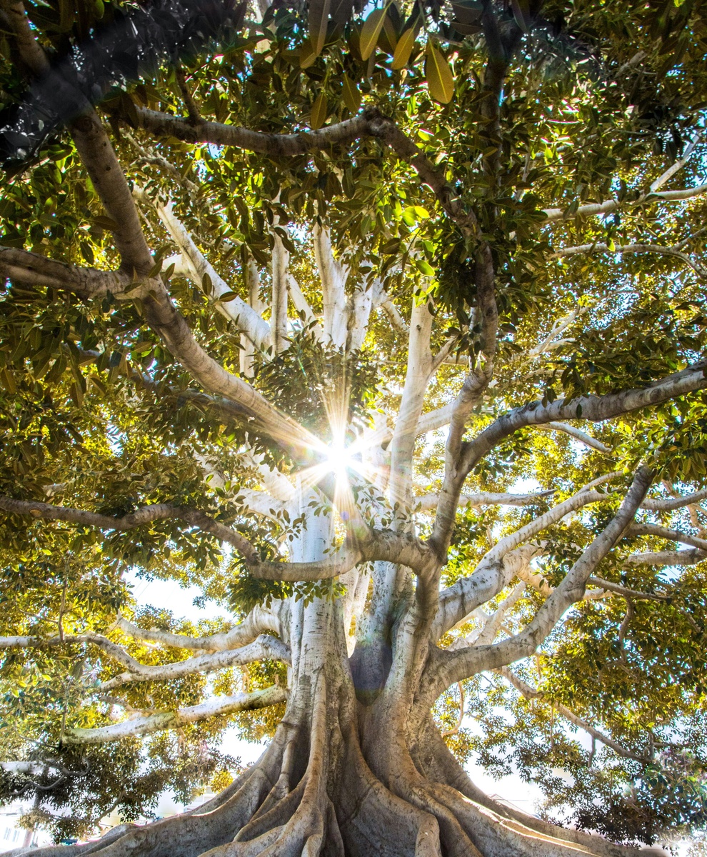 Life Insurance Basics: Starting Your Journey Towards Financial Security with Alink Insurance