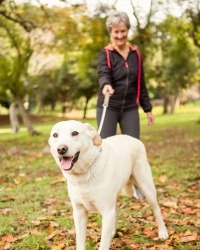 Letting the Tax Tail Wag the Investment Dog