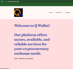 Is Q-Wallet the USA Safe Haven For An International Crypto / Bitcoin Blowup