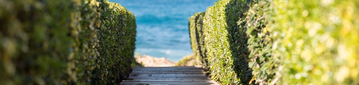 Retirement & Rising Costs: Managing Inflation Risk