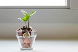 Achieving Financial Fulfillment: 