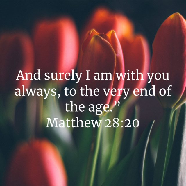 Matthew 28:20